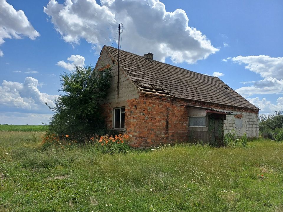 Porządkujemy teren gminy Sicienko