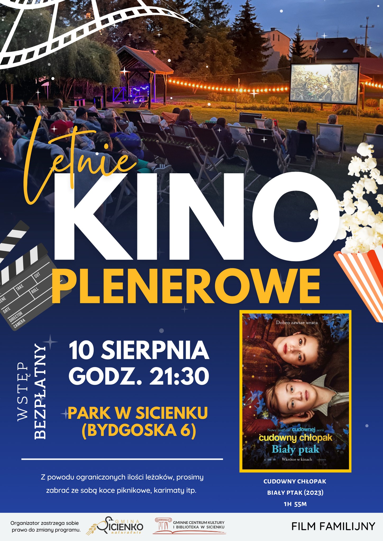 kino plenerowe plakat