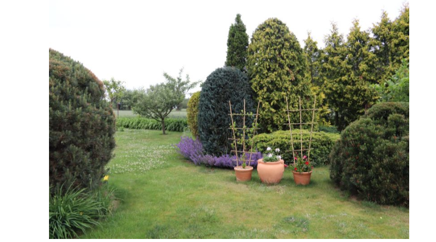Konkurs "Najpiękniejszy ogród w Powiecie Bydgoskim" etap gminny rozstrzygnięty Kliknięcie w obrazek spowoduje wyświetlenie jego powiększenia