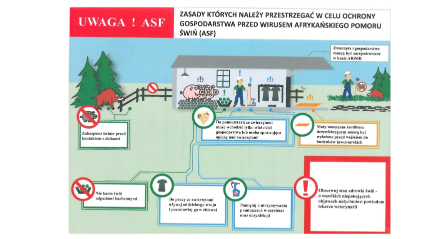 Afrykański Pomór Świń Kliknięcie w obrazek spowoduje wyświetlenie jego powiększenia