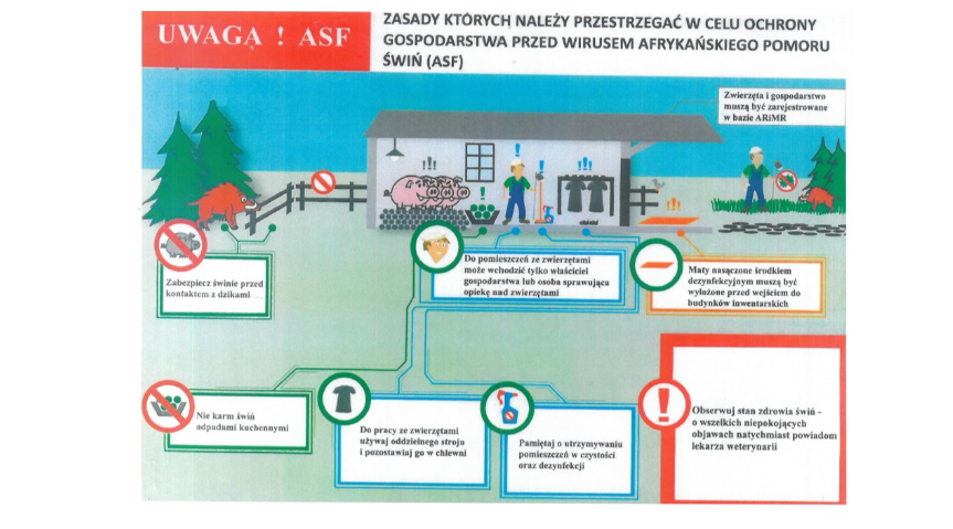 Broszura Informacyjna "Zatrzymaj ASF" Kliknięcie w obrazek spowoduje wyświetlenie jego powiększenia