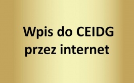 Wpis do CEIDG przez internet